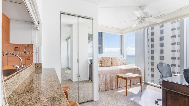 interior space with a closet, sink, and ceiling fan