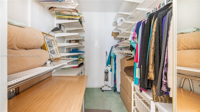 walk in closet with carpet flooring