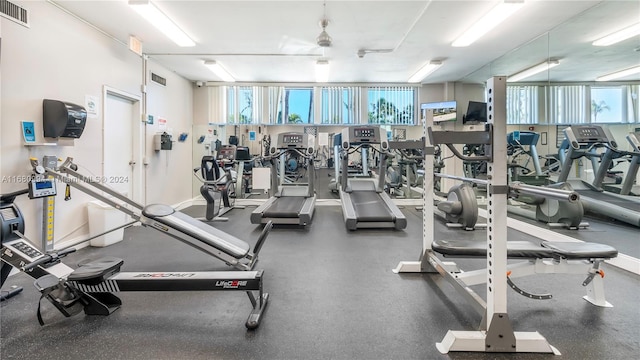 workout area featuring a healthy amount of sunlight