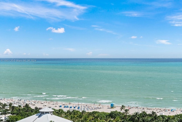 view of water feature with a beach view