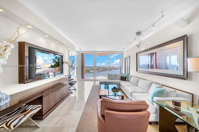 living room with crown molding, expansive windows, and rail lighting