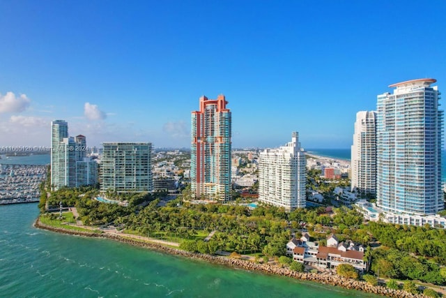 property's view of city featuring a water view