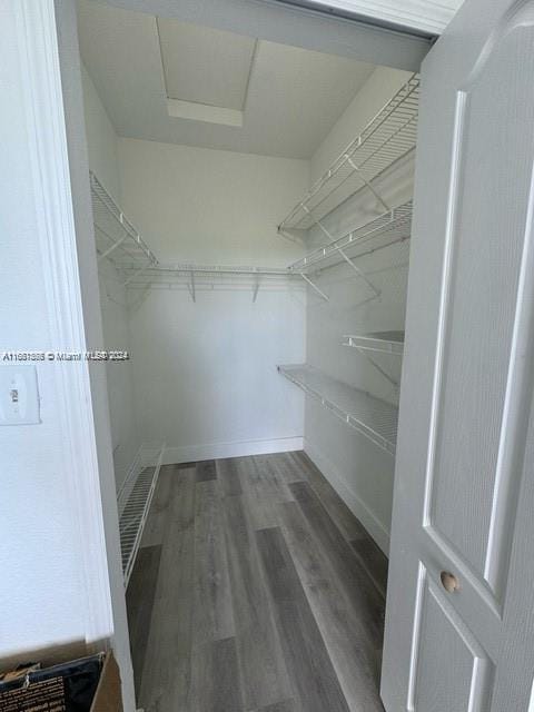 walk in closet featuring dark wood-type flooring