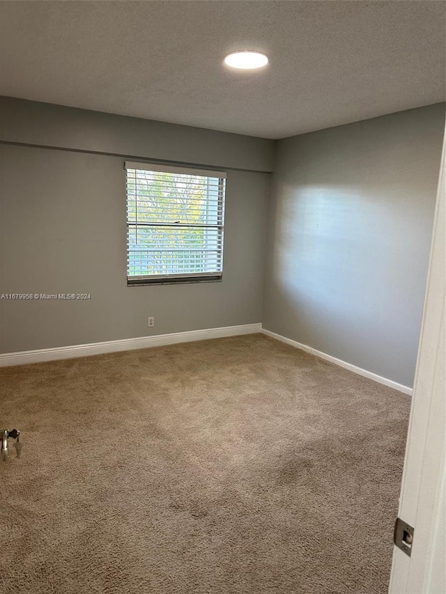 spare room with carpet floors and a textured ceiling