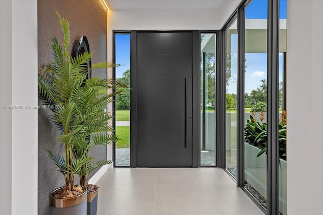 entryway featuring plenty of natural light and a wall of windows