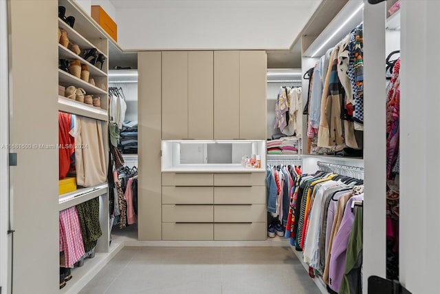 view of spacious closet