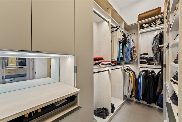 view of spacious closet