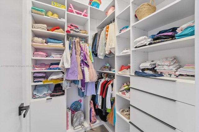 view of walk in closet