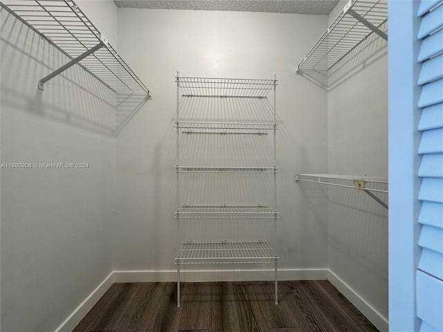 spacious closet featuring wood-type flooring