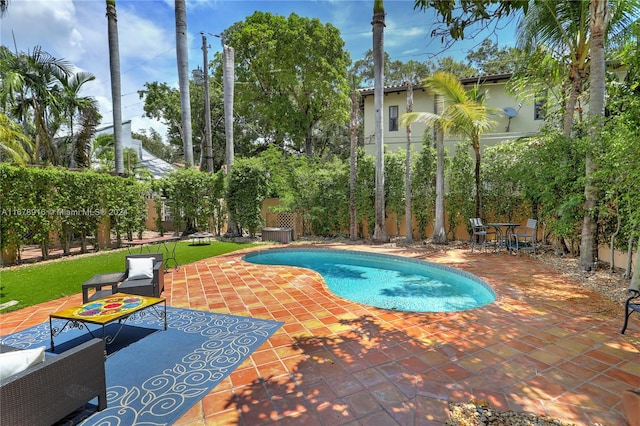 view of swimming pool with a patio area