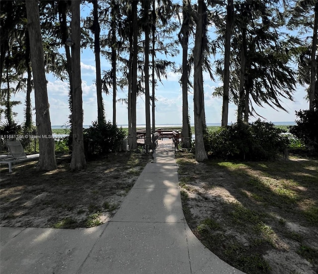 view of home's community with a water view