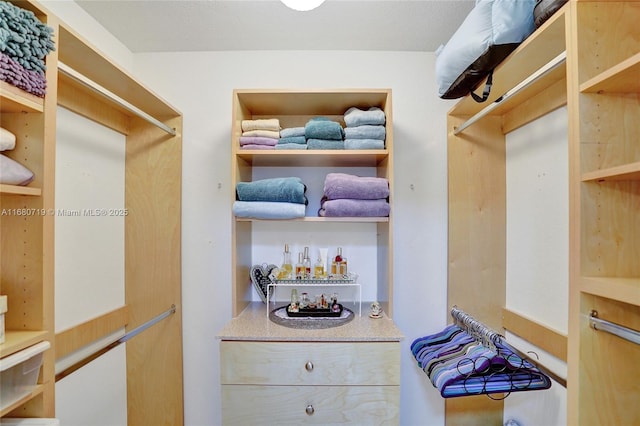 view of spacious closet