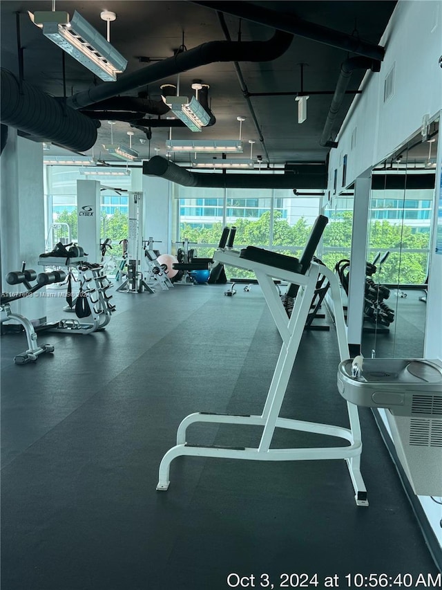 exercise room featuring a wealth of natural light