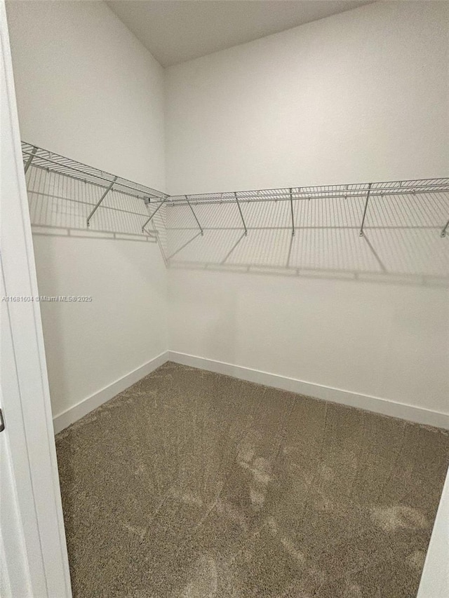 walk in closet with carpet floors