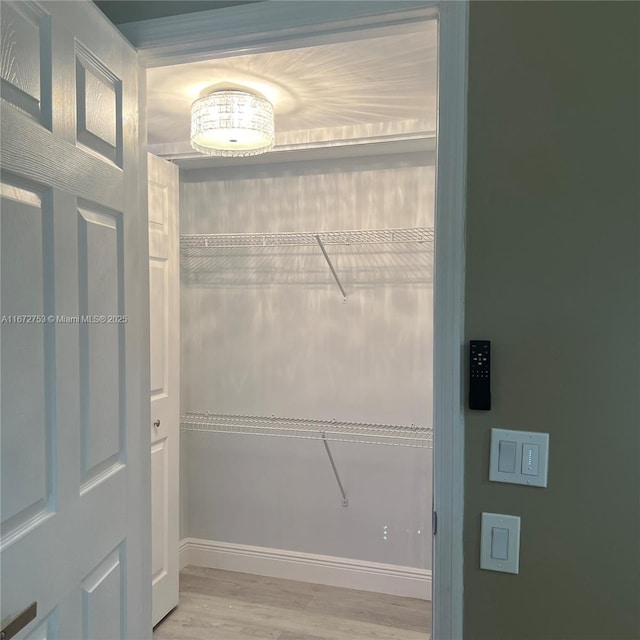 walk in closet with light wood-type flooring