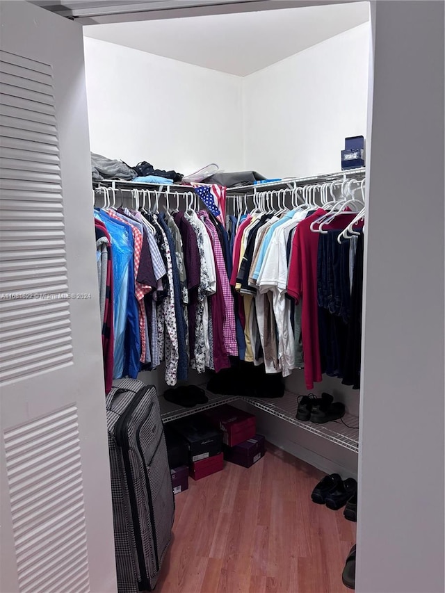 spacious closet with wood-type flooring