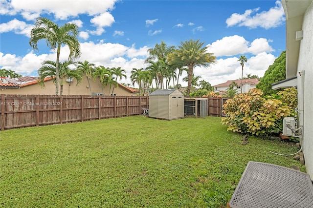 view of yard featuring a shed