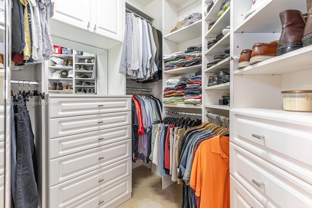 spacious closet with light colored carpet