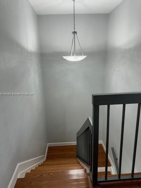 staircase featuring hardwood / wood-style flooring