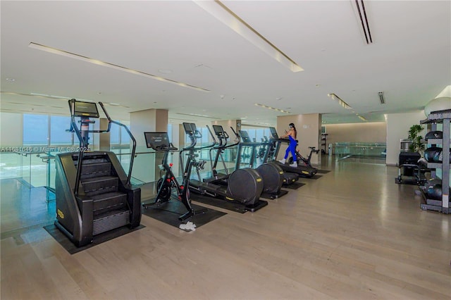 workout area featuring light hardwood / wood-style floors