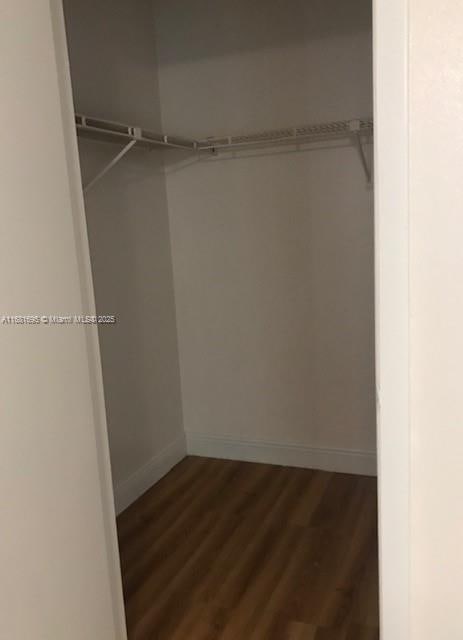 walk in closet featuring dark wood-type flooring