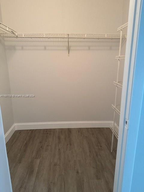 spacious closet with dark hardwood / wood-style floors