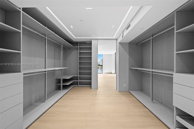 walk in closet with light hardwood / wood-style floors