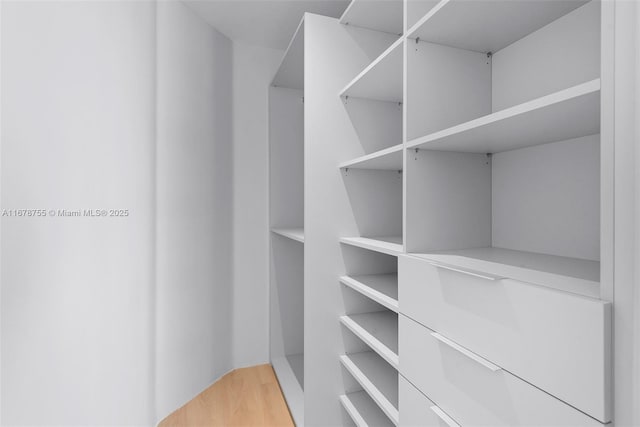 walk in closet featuring hardwood / wood-style flooring