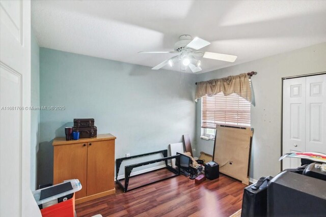 office space featuring ceiling fan and dark hardwood / wood-style floors