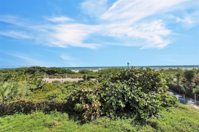 view of nature with a water view