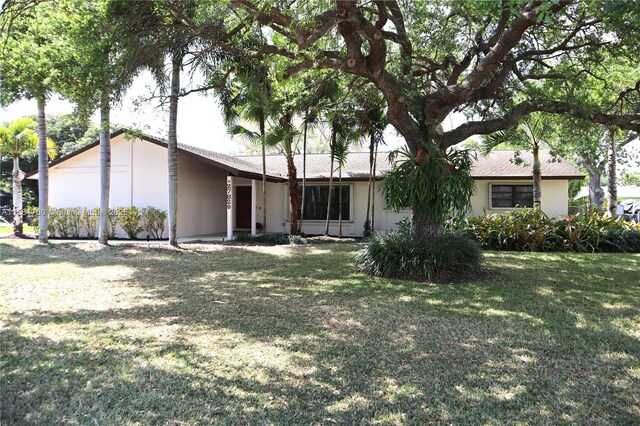 ranch-style house with a front yard