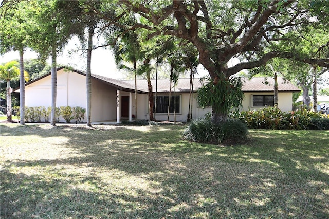 view of front of home with a front lawn and stucco siding