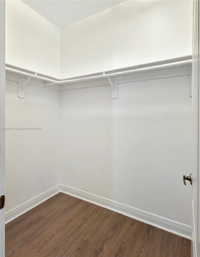 spacious closet with dark hardwood / wood-style flooring