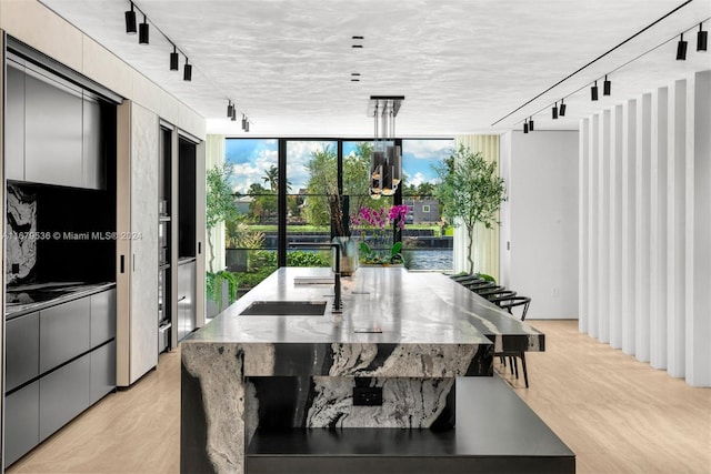 dining space featuring track lighting and floor to ceiling windows