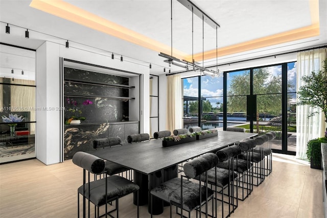 dining room featuring a raised ceiling and light wood-type flooring