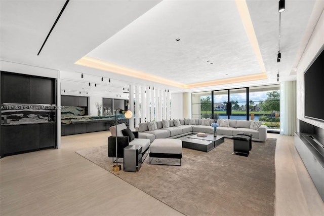 living room featuring a raised ceiling