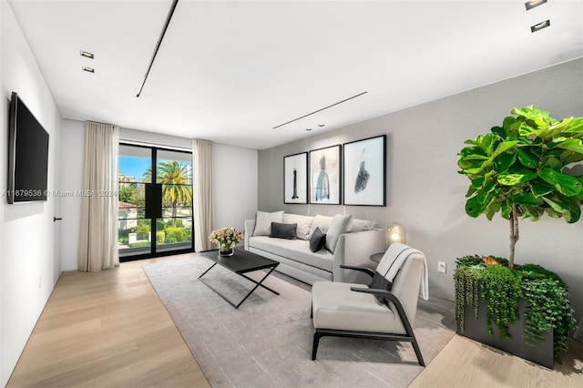 living room with light hardwood / wood-style floors