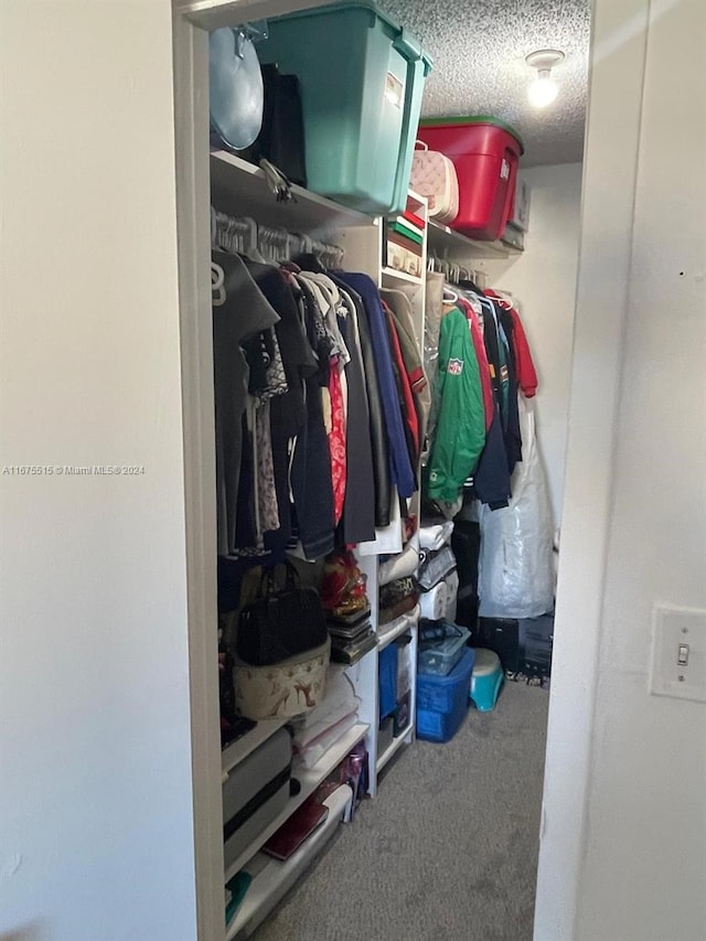 spacious closet featuring carpet