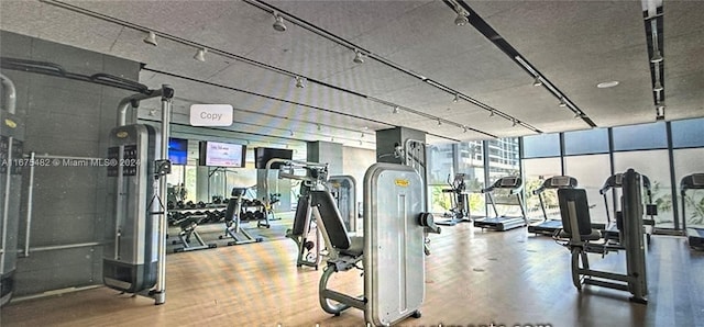 workout area featuring track lighting and a wealth of natural light