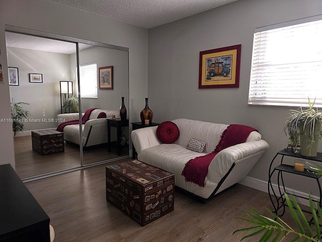 living room featuring wood-type flooring and a textured ceiling