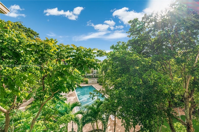 view of pool featuring a patio