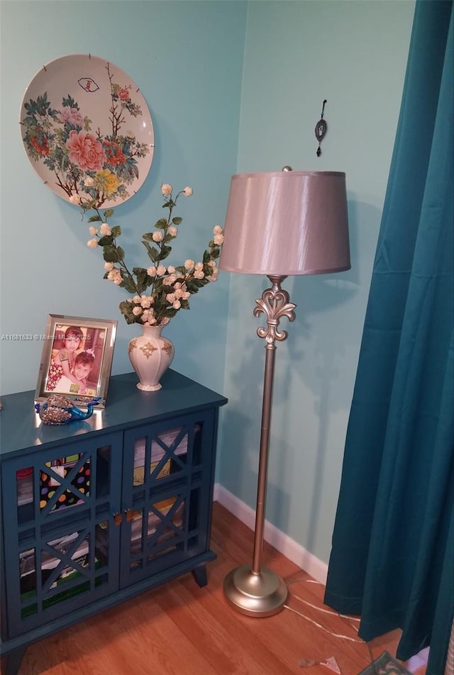 interior details with hardwood / wood-style floors