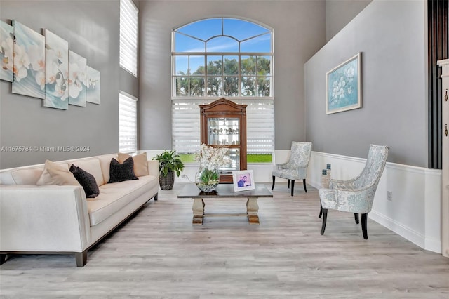 living room featuring a healthy amount of sunlight, a towering ceiling, and light wood-type flooring