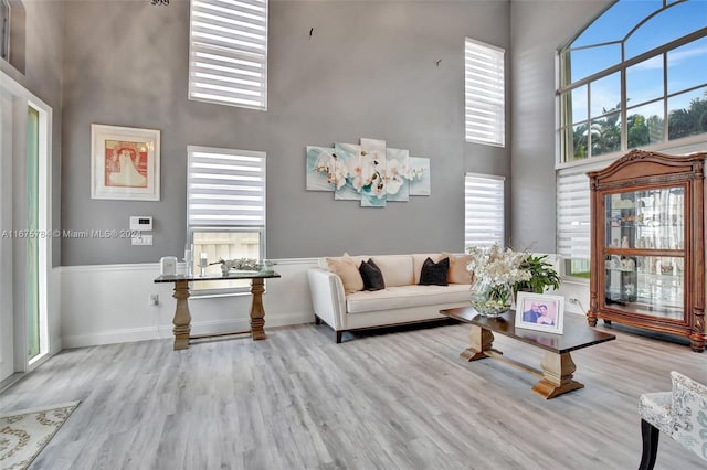 living room with light hardwood / wood-style flooring and a high ceiling