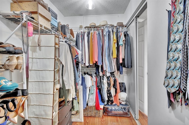 spacious closet with hardwood / wood-style flooring