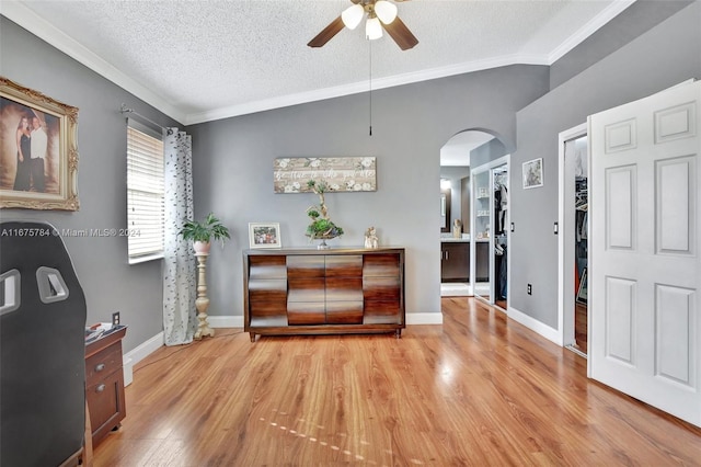 foyer featuring lofted ceiling, a textured ceiling, and light hardwood / wood-style floors