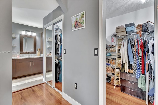 spacious closet with sink and light wood-type flooring