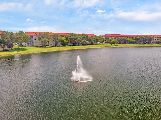 view of water feature