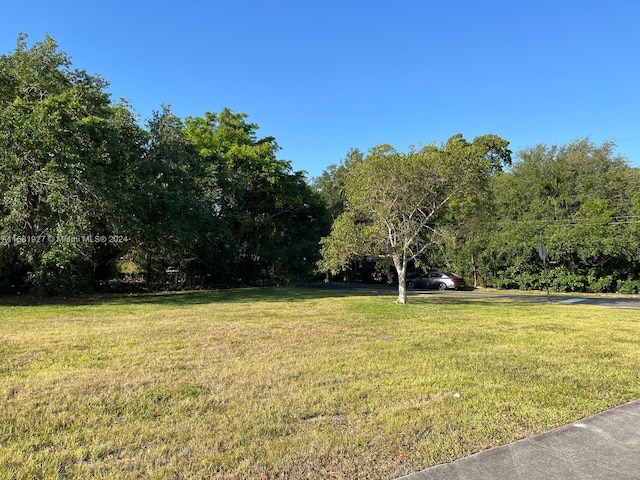 6843 SW 62nd Ct, South Miami, FL 33143 - photo 2