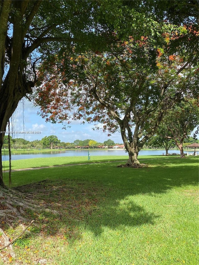 view of home's community with a yard and a water view